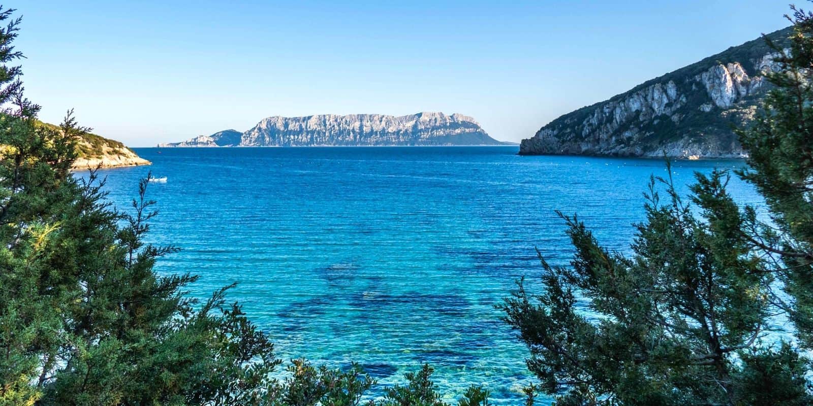 Sloww Blue Zones