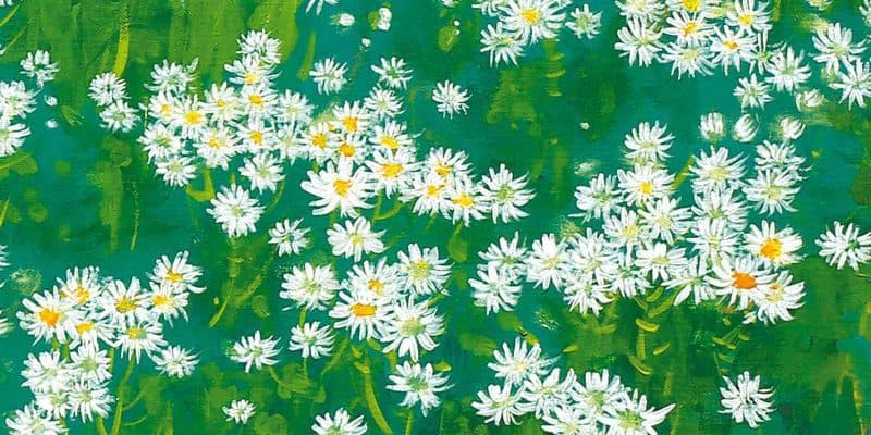 Sloww Haemin Sunim Things You Can See Slow Down