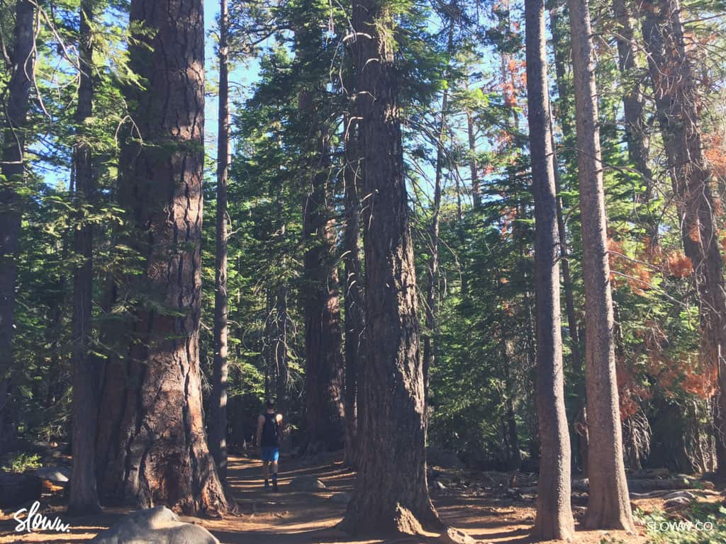 Sloww Slow Travel Lake Tahoe Eagle Falls Trail Hike