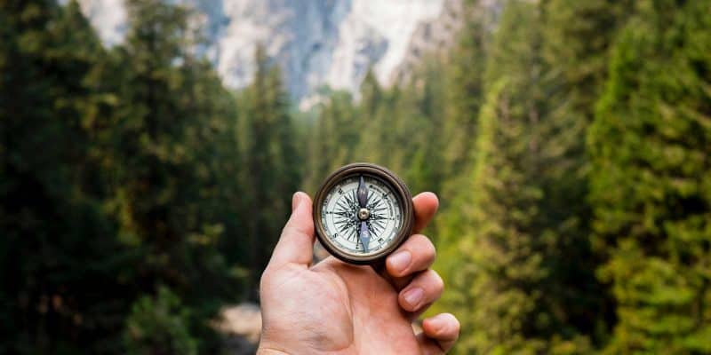 Sloww Find Your Why Simon Sinek