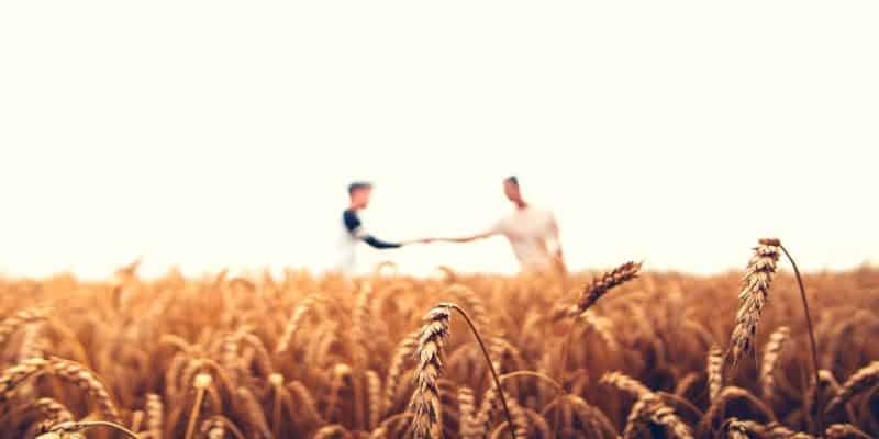 Sloww Quaker Testimony of Simplicity
