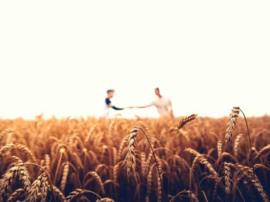 Sloww Quaker Testimony of Simplicity