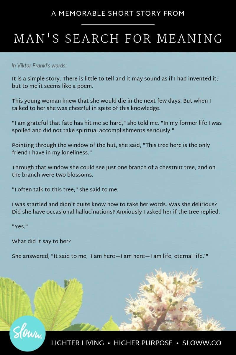 Sloww Man's Search for Meaning Short Story Infographic