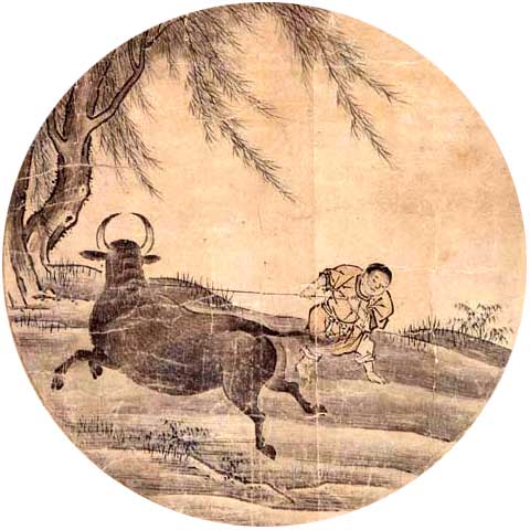 Ten Bulls Oxherding Pictures 4
