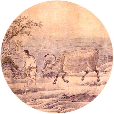Ten Bulls Oxherding Pictures 5