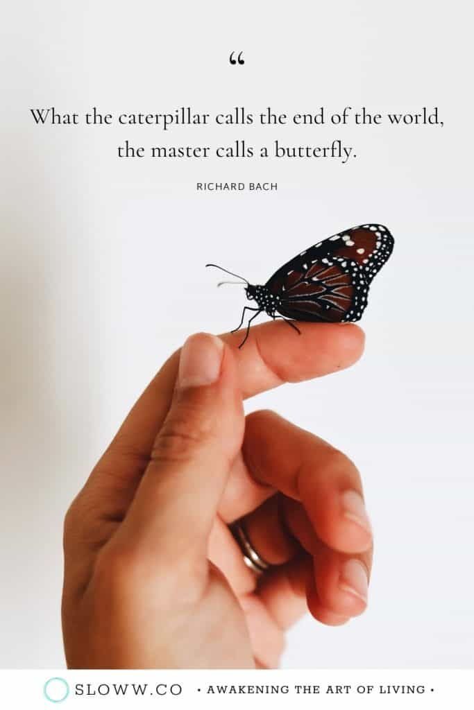 Sloww Caterpillar Butterfly Richard Bach Quote