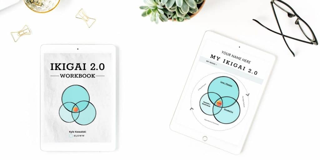 Sloww Ikigai 2.0 eBook Workbook