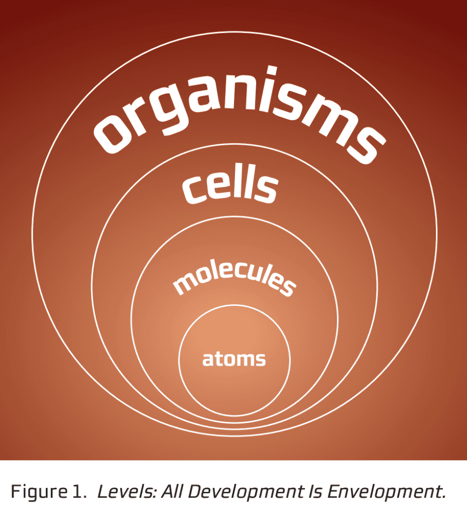 Integral Vision Hierarchy Transcend and Include