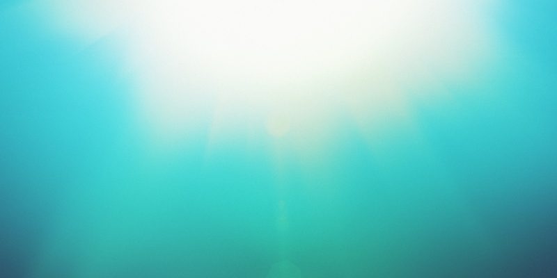 Sloww The Power of Now by Eckhart Tolle