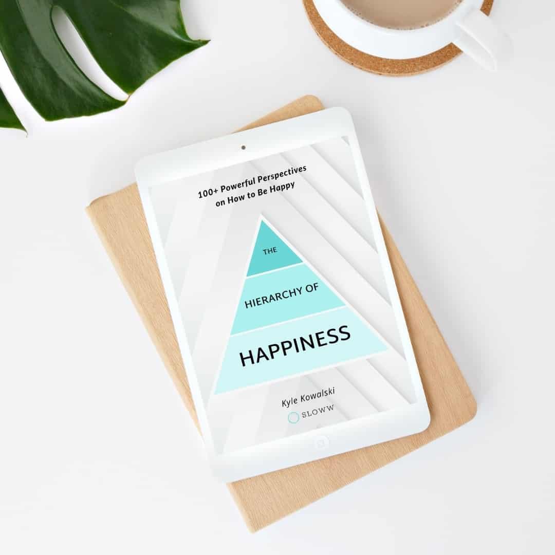 Hierarchy of Happiness eBook