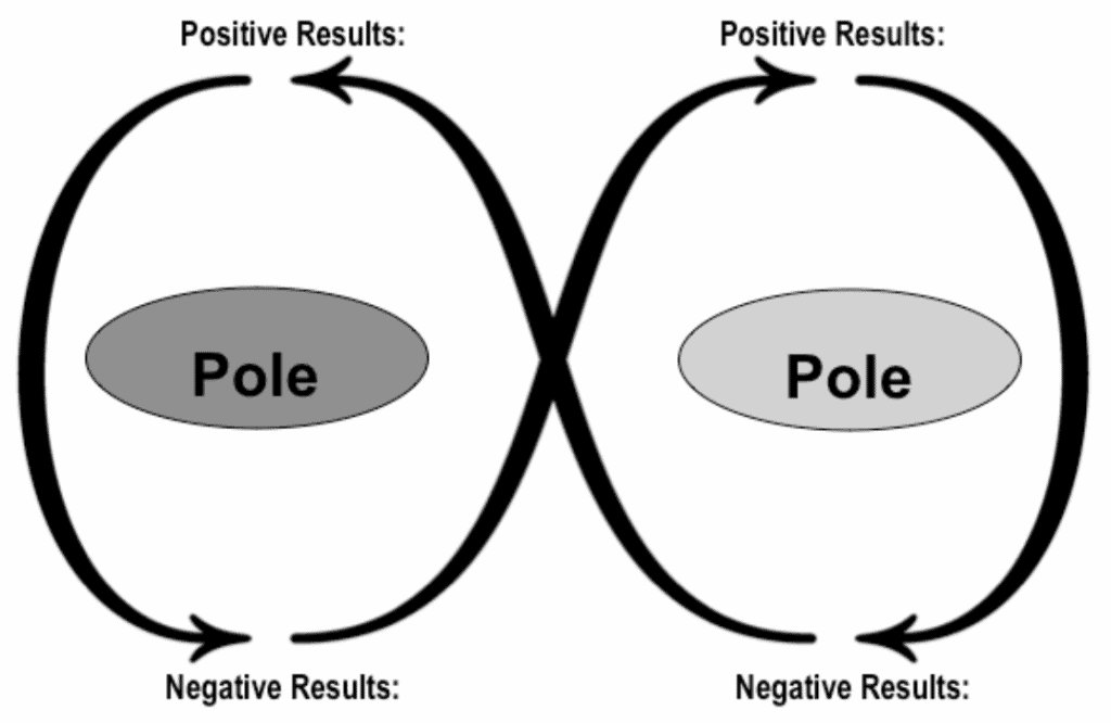 Polarity Visualized