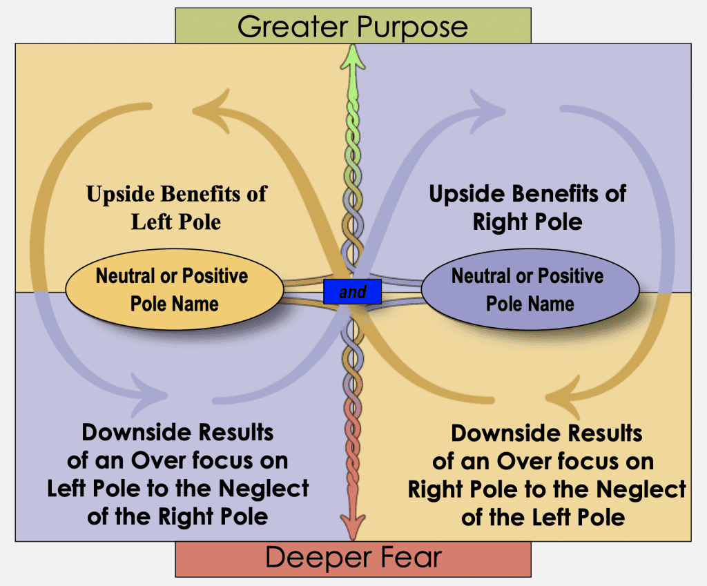 Polarity Map Description