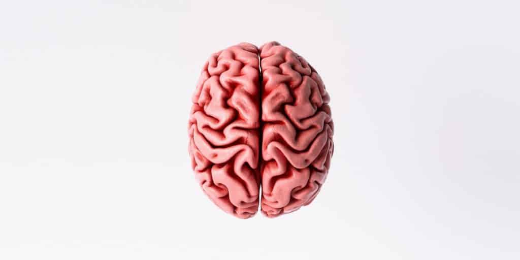 Left Brain Right Brain Hemispheres Research from The Master and His Emissary