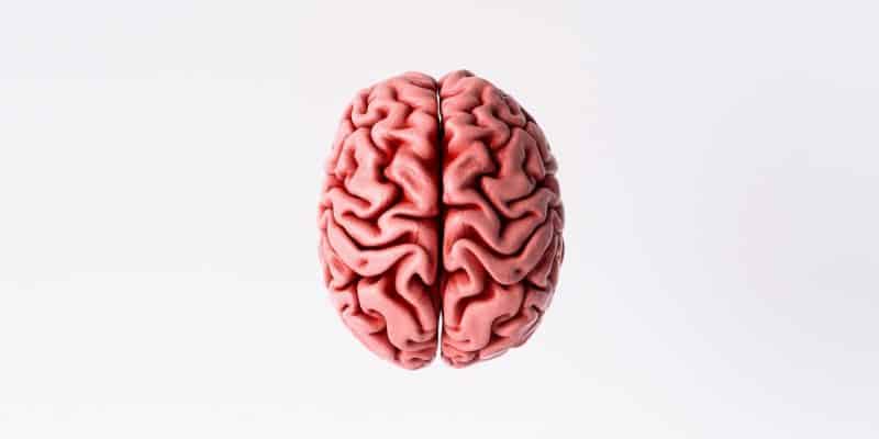 Left Brain Right Brain Hemispheres Research from The Master and His Emissary