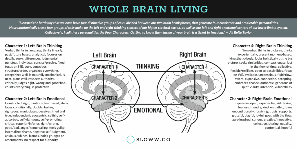 Sloww Whole Brain Living Four Characters Infographic
