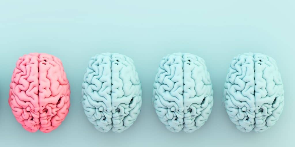 Sloww Whole Brain Living by Jill Bolte Taylor