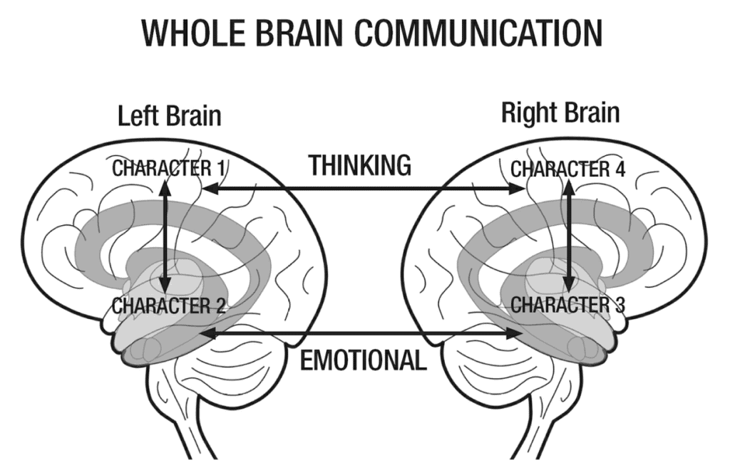 Whole Brain Living Brain Connection