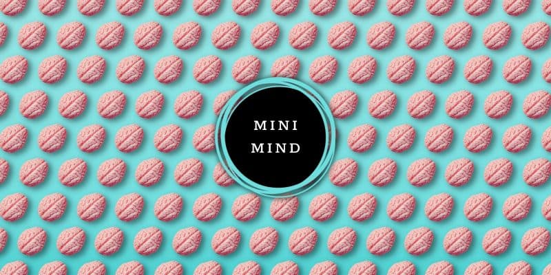 Sloww Mini Mind