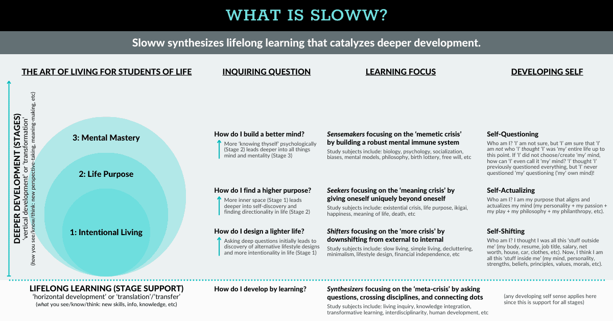 What is Sloww Stage 3