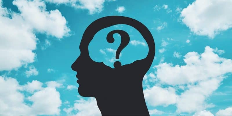 Free Will Questions