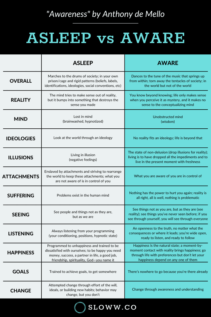 Sloww Anthony de Mello Asleep vs Aware