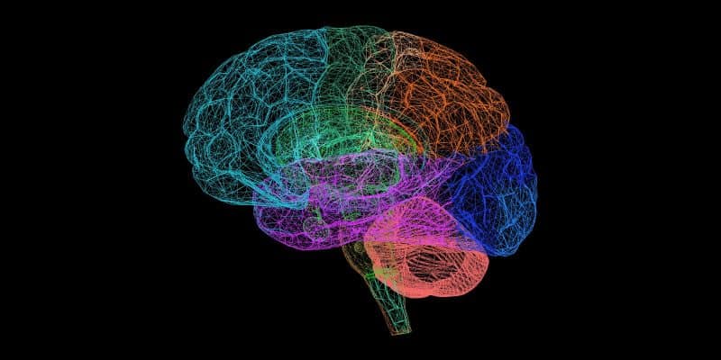 Transdisciplinary Cognitive Skills