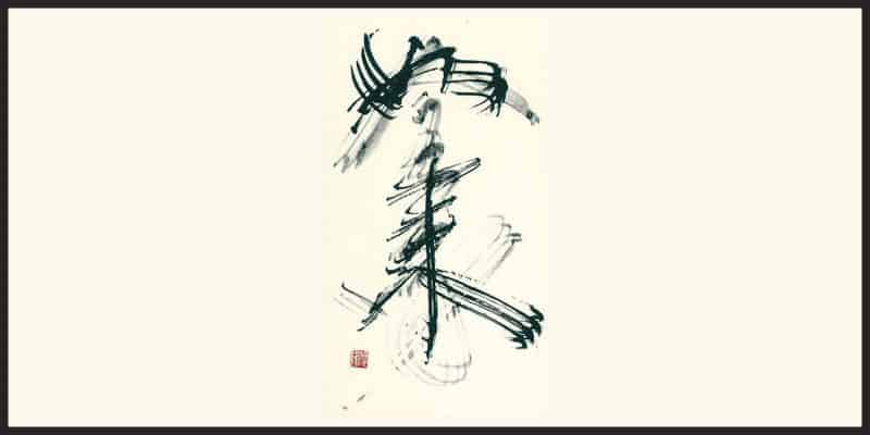 Zen Mind Beginners Mind Book