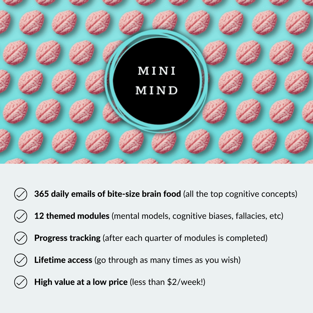 Mini Mind Overview