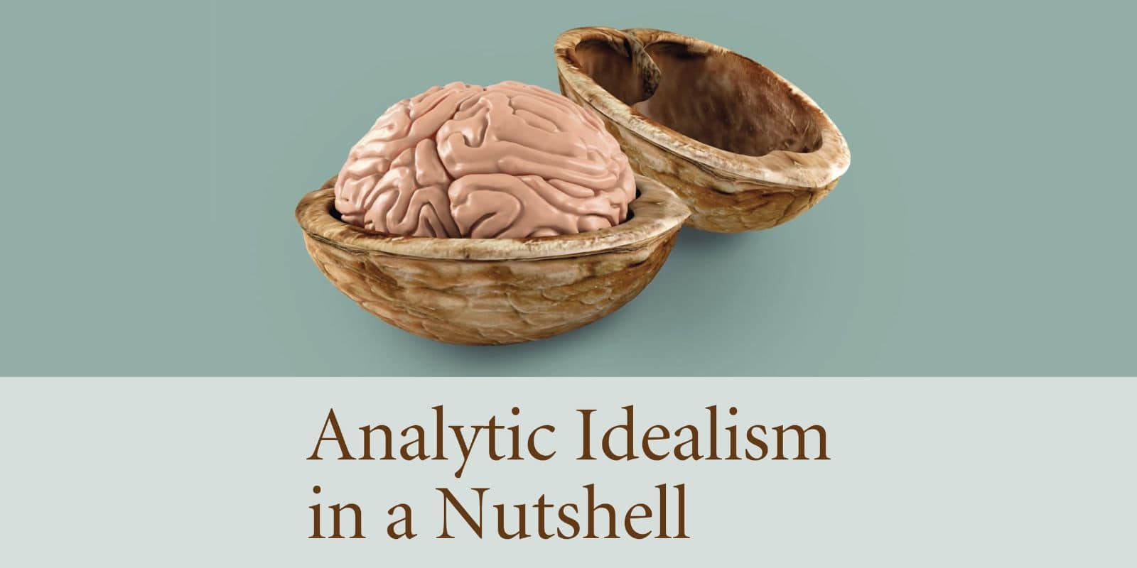Analytic Idealism in a Nutshell book by Bernardo Kastrup